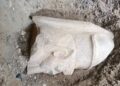 Estátua faraó encontrada acaso egito