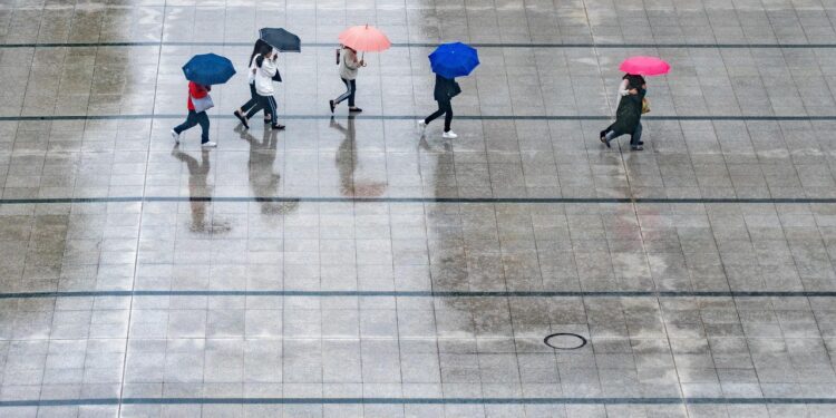 Estudo aponta quantos passos preservar