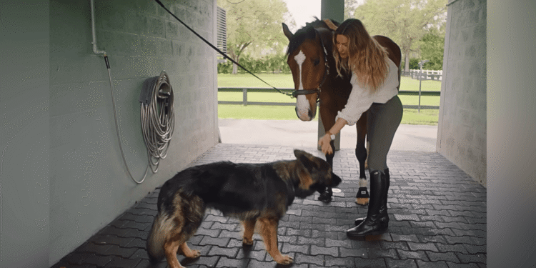 Fazenda quase milhões gisele bündchen
