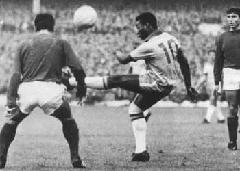 Imóveis pelé estão venda quitar