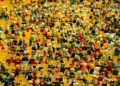 Guerra estudo determina fim mundo