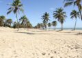 Ceará entrou radar gigantes tecnologia