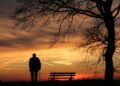 Busca momentos solitude acaba percebendo