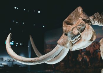 Tecnologia desenvolvida ressuscitar animais extintos