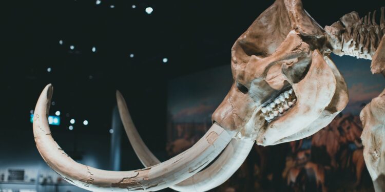 Tecnologia desenvolvida ressuscitar animais extintos