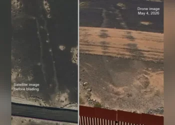 Geoglifo peixe criado acabou cortado