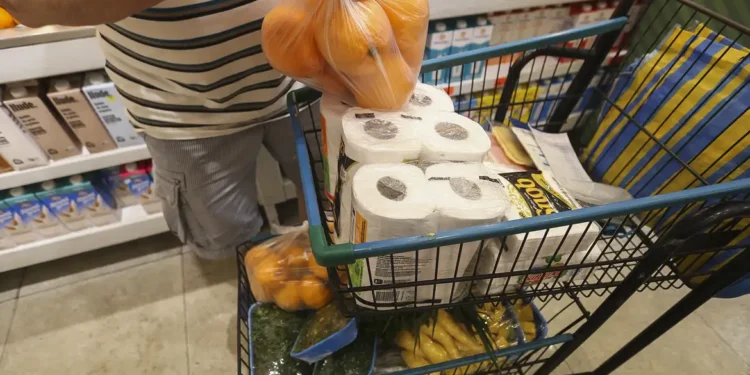 Governo vai começar a pagar R$ 500 em auxílio alimentação para brasileiros