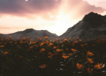 Há 951 anos, Isaac Newton previu a data do fim do mundo e não estamos longe