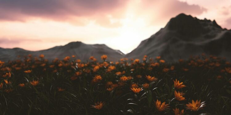 Há 951 anos, Isaac Newton previu a data do fim do mundo e não estamos longe