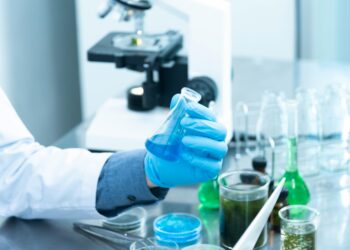 Cientista brasileiro ganha prêmio e é eleito o melhor do mundo