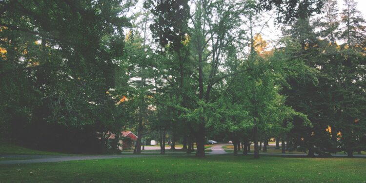 Cidade mais fria do Nordeste desafia o sol e ganha apelido de ‘Suíça brasileira’