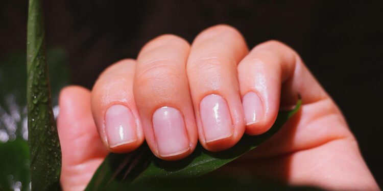 Descubra o motivo curioso do famoso furinho no cortador de unhas