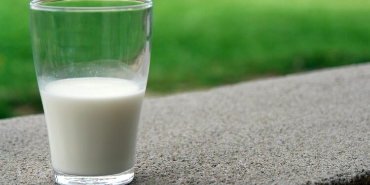 Mito ou verdade: Tomar leite fortifica os ossos?