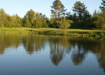 Inmet emite alerta vermelho para 27 cidades com risco de temporal histórico e quedas de árvore