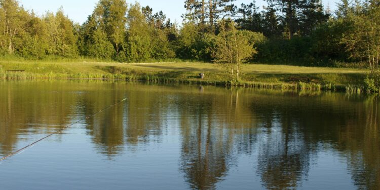 Inmet emite alerta vermelho para 27 cidades com risco de temporal histórico e quedas de árvore