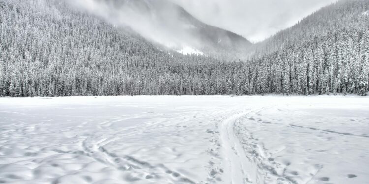 Neve histórica cobriu o Sul do Brasil de branco
