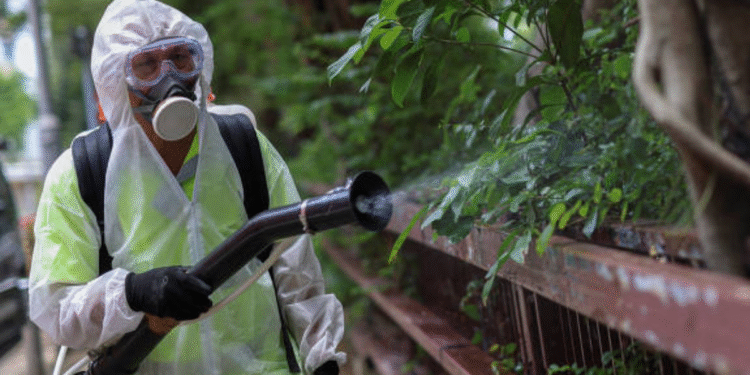 Alerta por uma nova pandemia: outro vírus se espalha na China e estes são os países que poderiam estar em risco