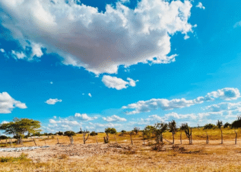 Clima do deserto do Saara vai atingir 8 estados brasileiros nos próximos dias