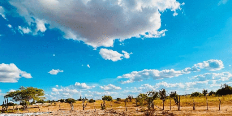 Clima do deserto do Saara vai atingir 8 estados brasileiros nos próximos dias