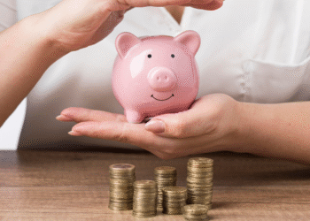 Os 7 melhores investimentos para quem é iniciante no mercado financeiro