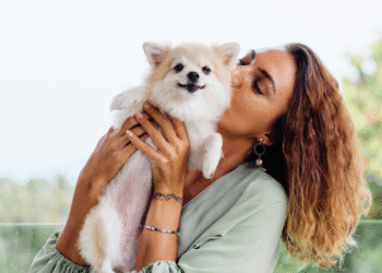 Os gestos do seu cachorro que revelam se ele realmente confia em você