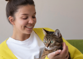 Gatos falando com humanos? Cientistas provam que é possível com um simples truque