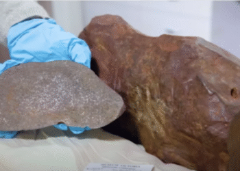 Um homem guardou uma pedra por anos pensando que era ouro, mas ela se revelou muito mais valiosa