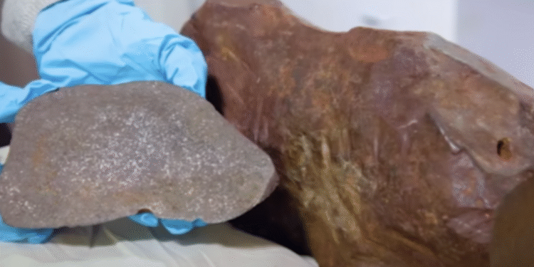 Um homem guardou uma pedra por anos pensando que era ouro, mas ela se revelou muito mais valiosa