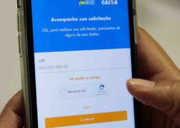 Veja se há algum auxílio te esperando através do seu CPF