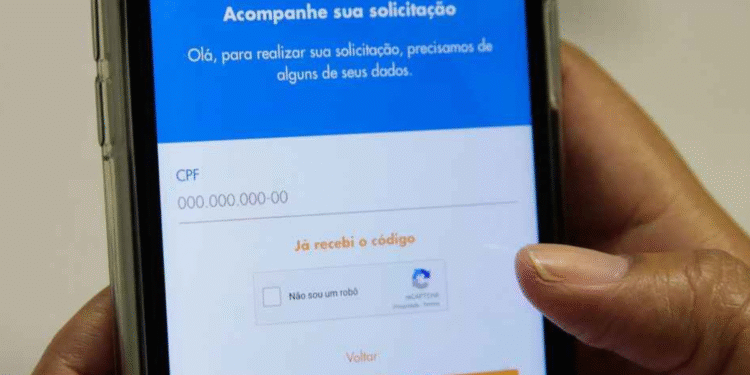 Veja se há algum auxílio te esperando através do seu CPF