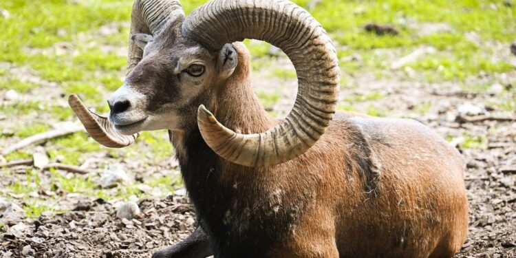 6 signos que ainda vão dar a volta por cima e vencer na vida