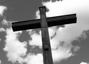 Papa Leão XIV oficializa novo santo e surpreende a Igreja Católica