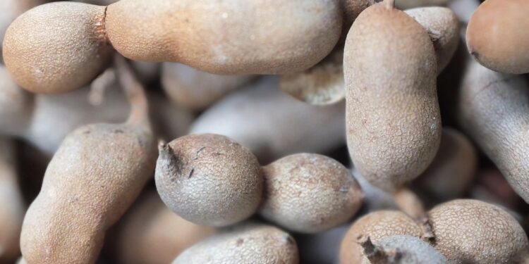 A fruta mais eficiente que a banana para evitar cãibras