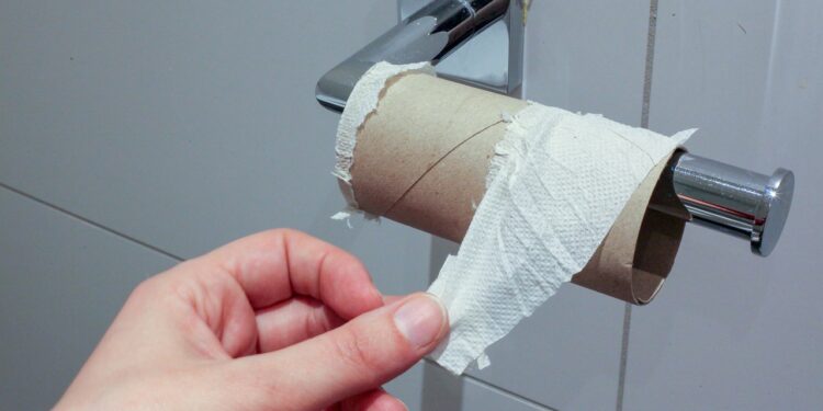 O substituto do papel higiênico que é muito mais eficiente e prático