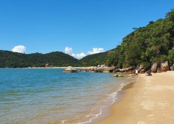 Férias para quem quer ficar no Brasil: a praia paradisíaca onde você pode nadar junto com os golfinhos