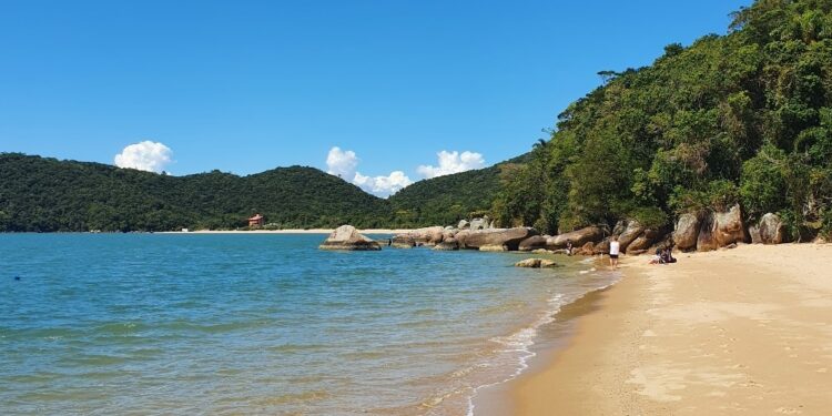 Férias para quem quer ficar no Brasil: a praia paradisíaca onde você pode nadar junto com os golfinhos