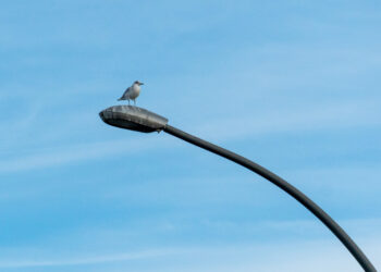 Posso receber indenização por falta de luz na minha casa?