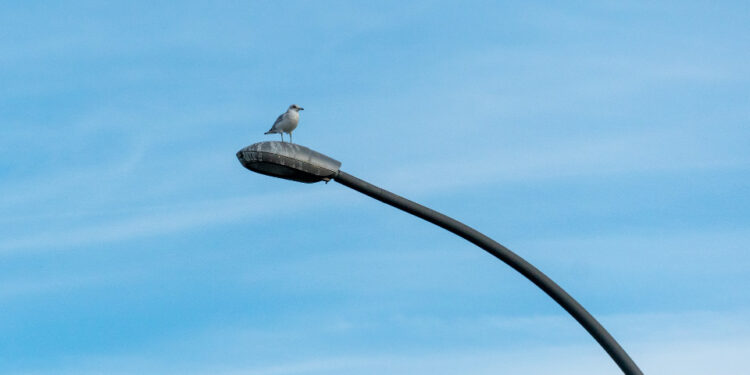 Posso receber indenização por falta de luz na minha casa?