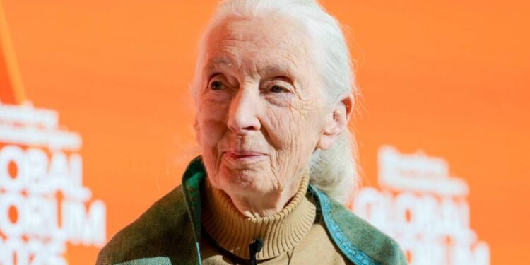 Luto: falece uma das maiores cientistas de todos os tempos