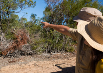 Animais que parecem ter saído do filme Jurassic Park são encontrados intactos no Equador