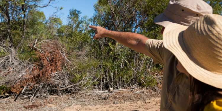 Animais que parecem ter saído do filme Jurassic Park são encontrados intactos no Equador