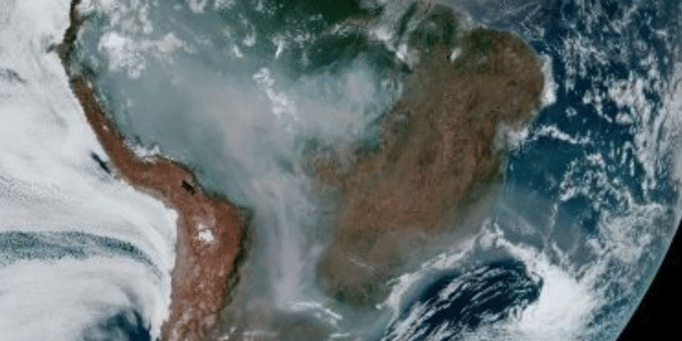 cientistas alertam