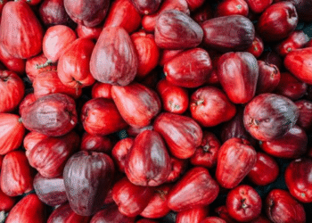 Frutas que eram comuns no passado e hoje em dia ninguém encontra mais