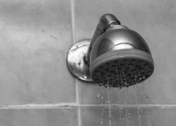 Maioria dos brasileiros não sabem, mas o chuveiro da casa pode estar sendo o lar desse ser vivo assustador