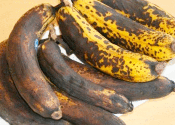 Não deixe suas bananas ficarem marrons: esse método simples garante frescor por até 2 semanas