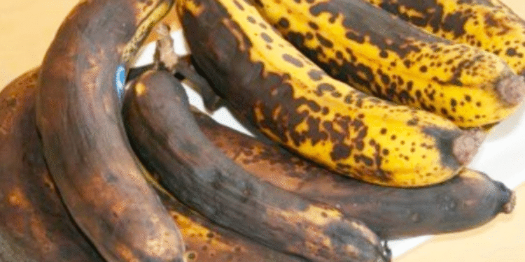 Não deixe suas bananas ficarem marrons: esse método simples garante frescor por até 2 semanas