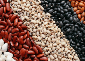 O feijão mais poderoso de todos: reduz o açúcar no sangue e controla o colesterol
