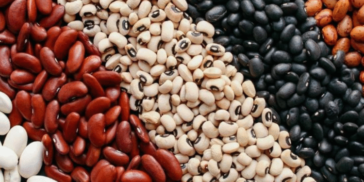 O feijão mais poderoso de todos: reduz o açúcar no sangue e controla o colesterol