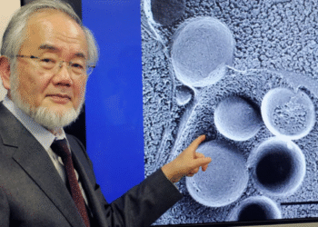 Professor de medicina revela como prevenir o Alzheimer com um hábito simples