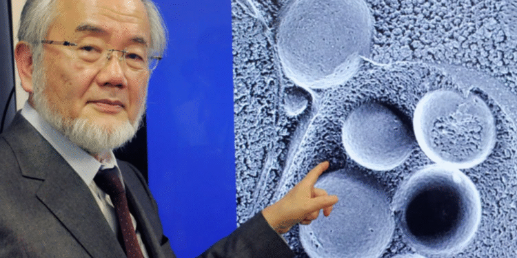 Professor de medicina revela como prevenir o Alzheimer com um hábito simples